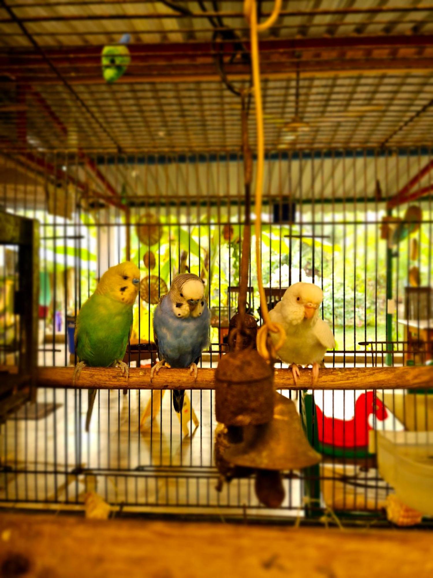 ディーウ ドリーム ビジョン ゲスト ハウス Bed & Breakfast エクステリア 写真